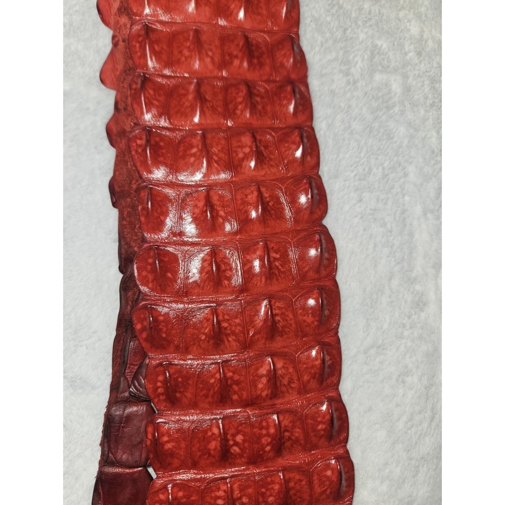 Vintage Caiman Hornback Belt Exotic Western Leather Taxidermy Red Alligatoridae - Picture 4 of 16